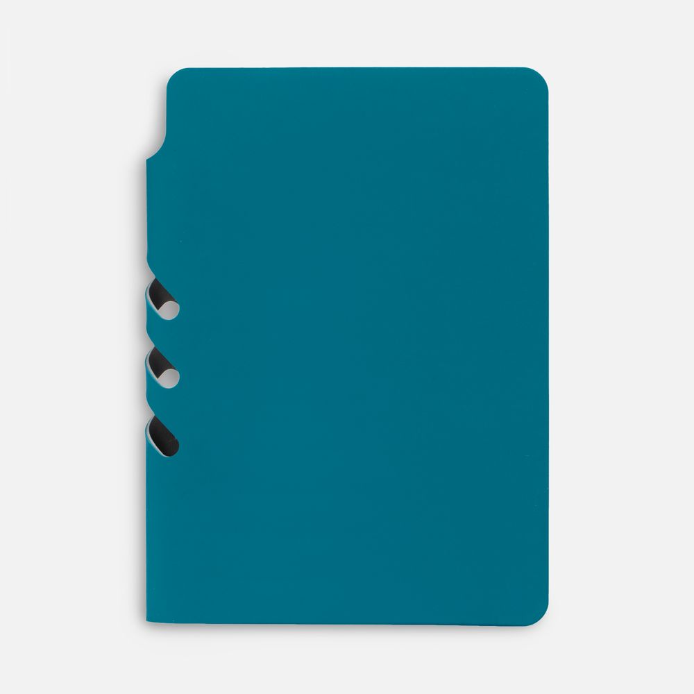 Ежедневник Flexpen Mini, недатированный, бирюзовый / Миниатюра WWW (1000)