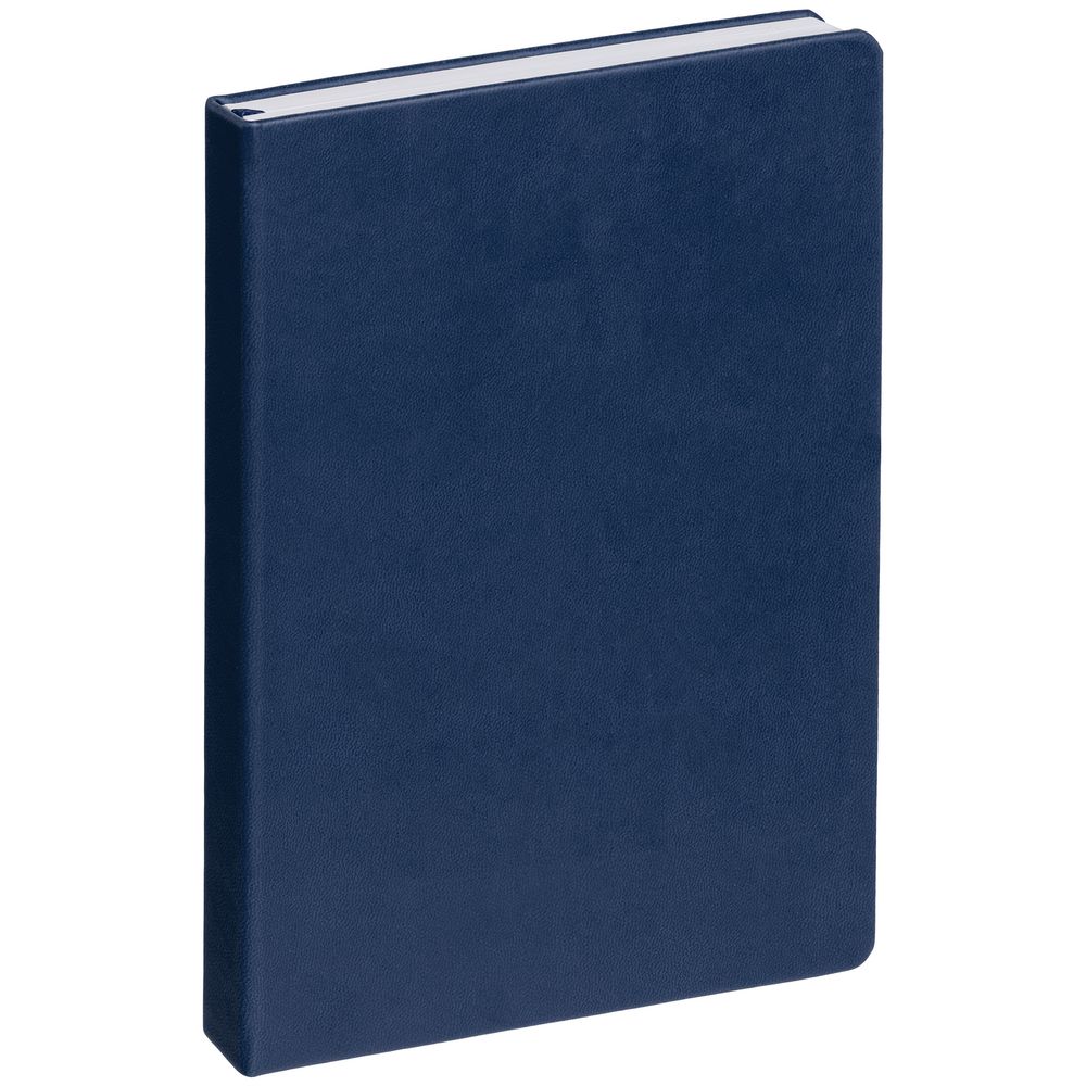 Ежедневник New Brand, недатированный, синий / Миниатюра WWW (1000)