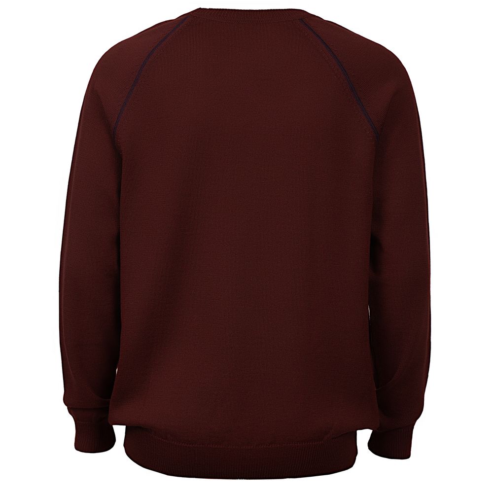 Джемпер Stitch с контрастной отделкой, бордовый с синим / Миниатюра WWW (1000)