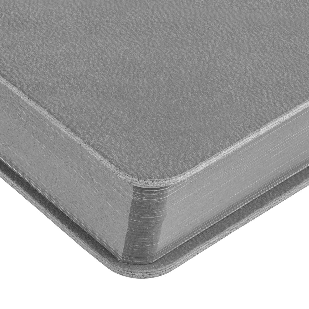 Ежедневник Flexpen Color, датированный, серый / Миниатюра WWW (1000)