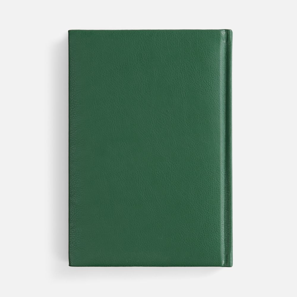 Ежедневник Baza, датированный, зеленый / Миниатюра WWW (1000)