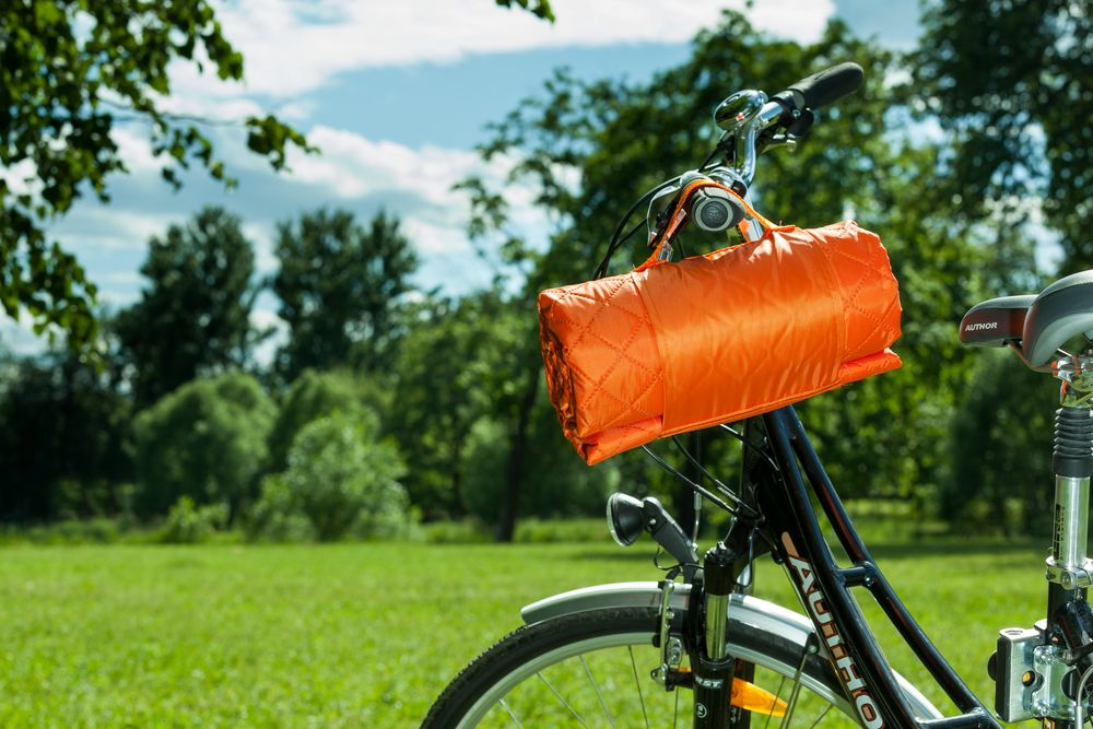 Плед для пикника Comfy, зеленый / Миниатюра WWW (1000)