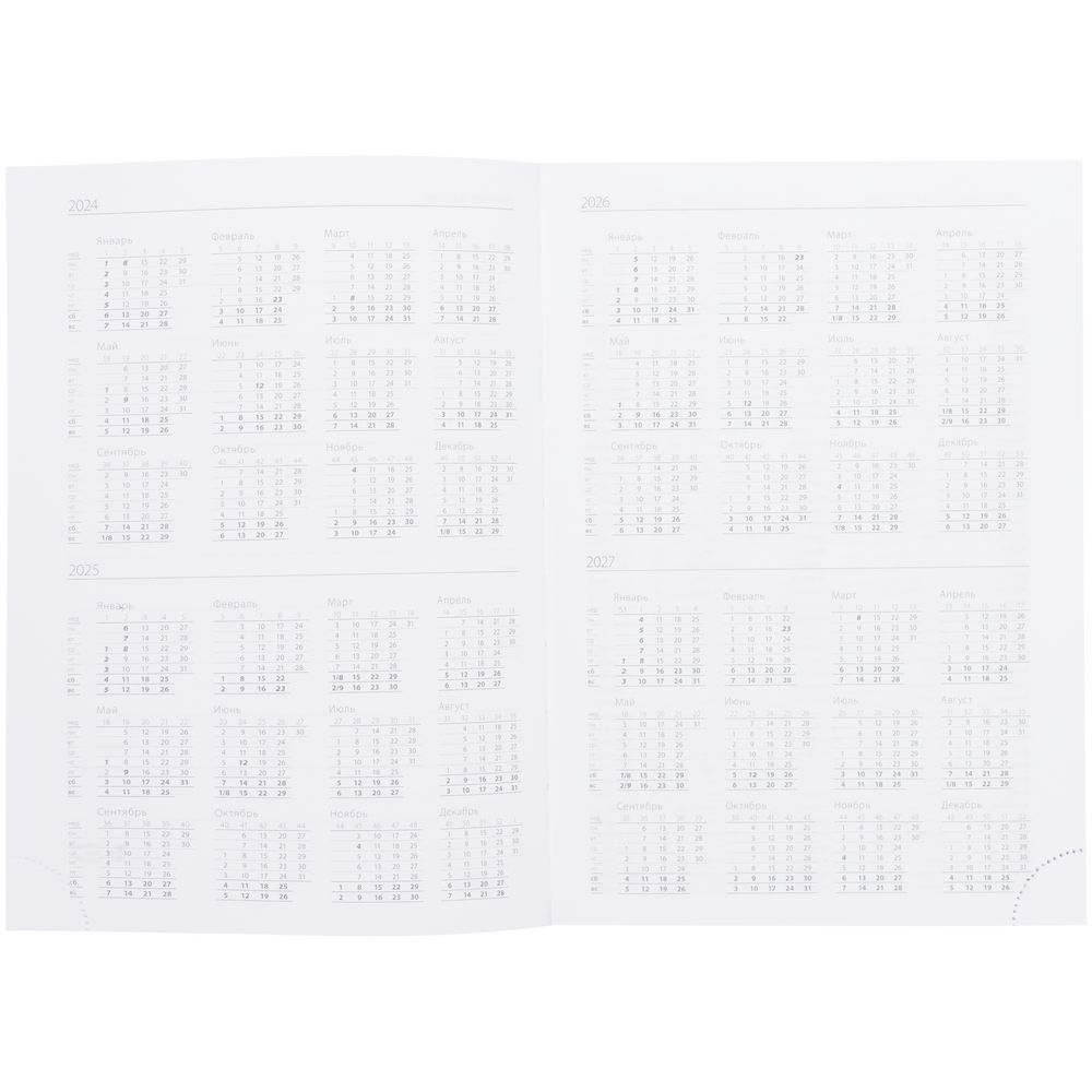 Ежедневник Vivian Metal, недатированный, голубой / Миниатюра WWW (1000)