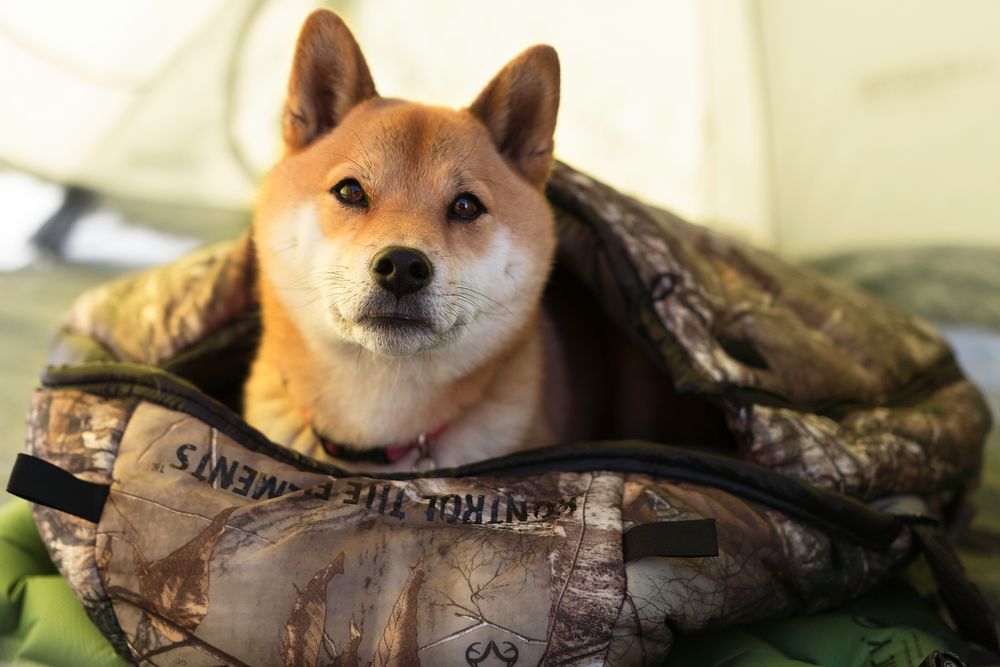 Надувной коврик Static V Realtree Camo, камуфляж / Миниатюра WWW (1000)