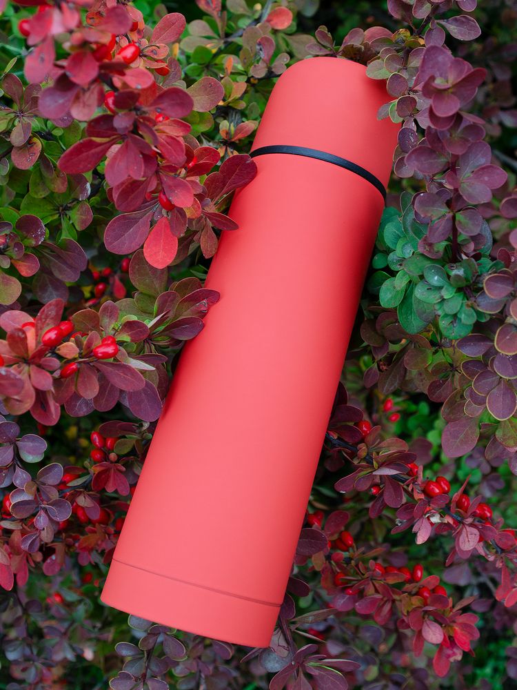 Термос Skydive, красный / Миниатюра WWW (1000)