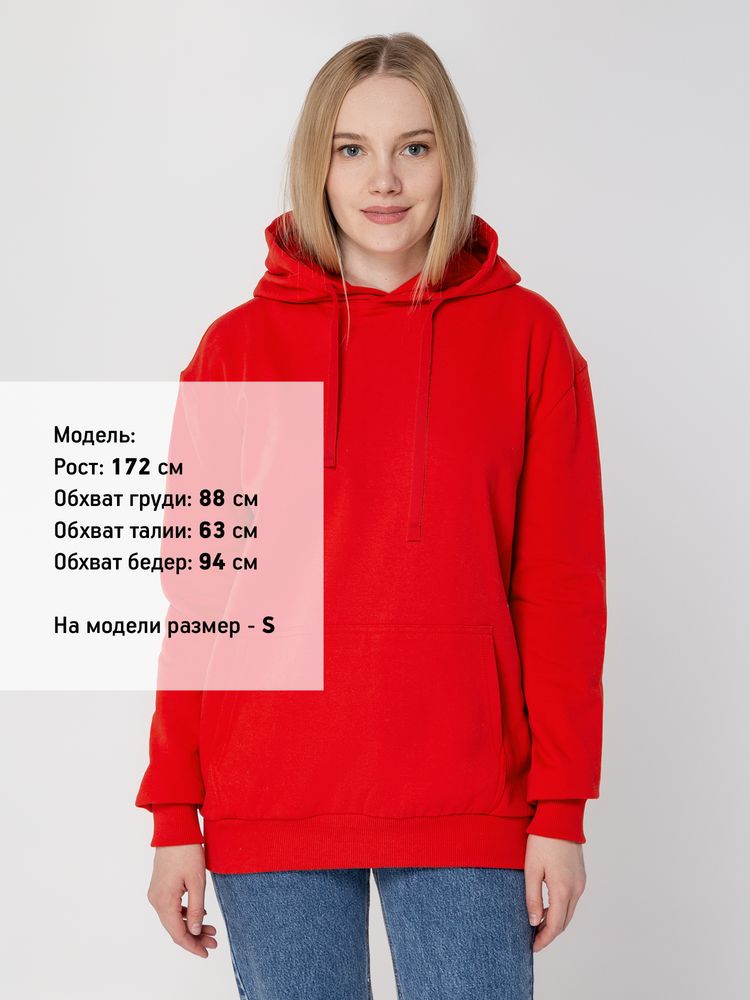 Худи Kirenga 2.0 Heavy, красное / Миниатюра WWW (1000)