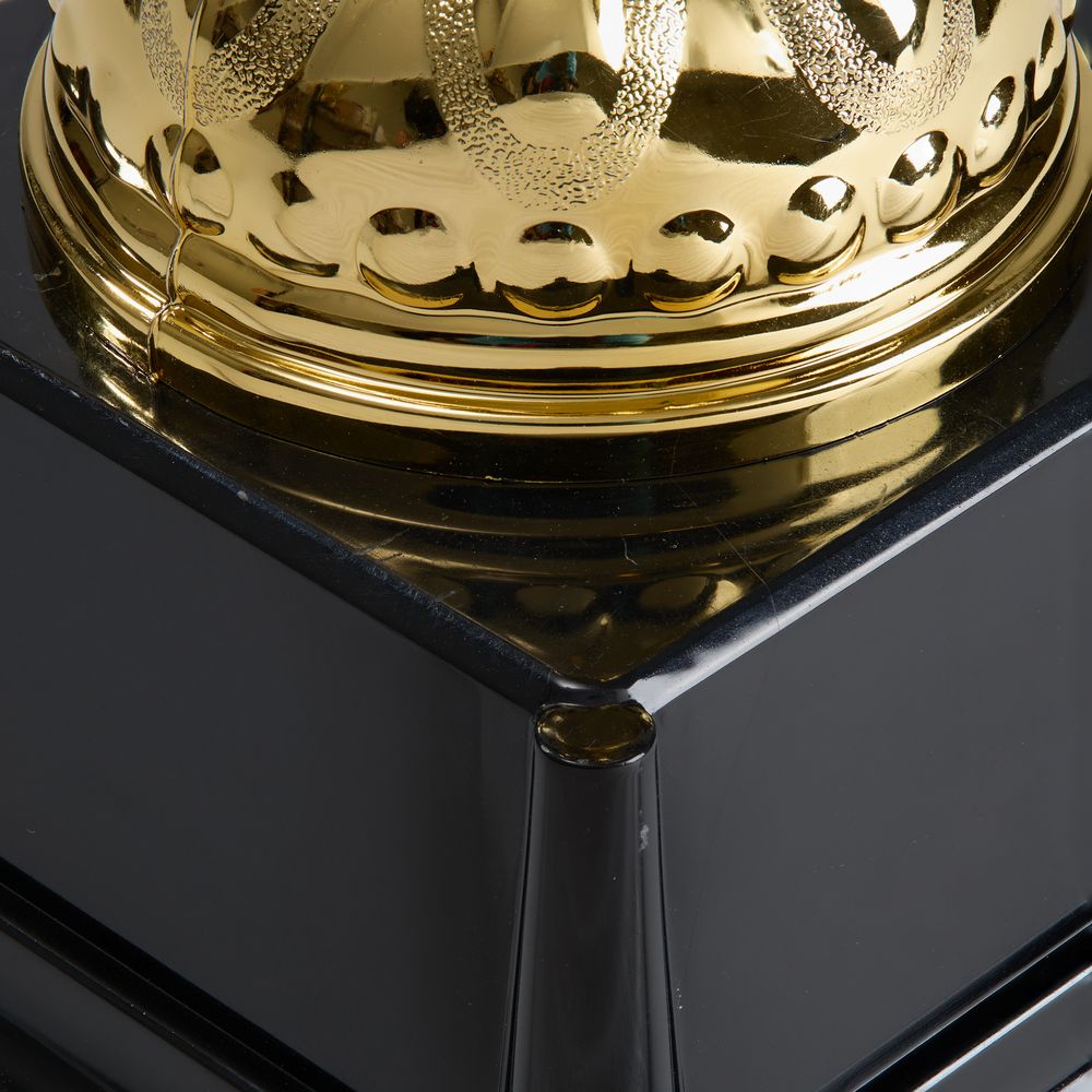 Кубок Top Star, золотистый / Миниатюра WWW (1000)