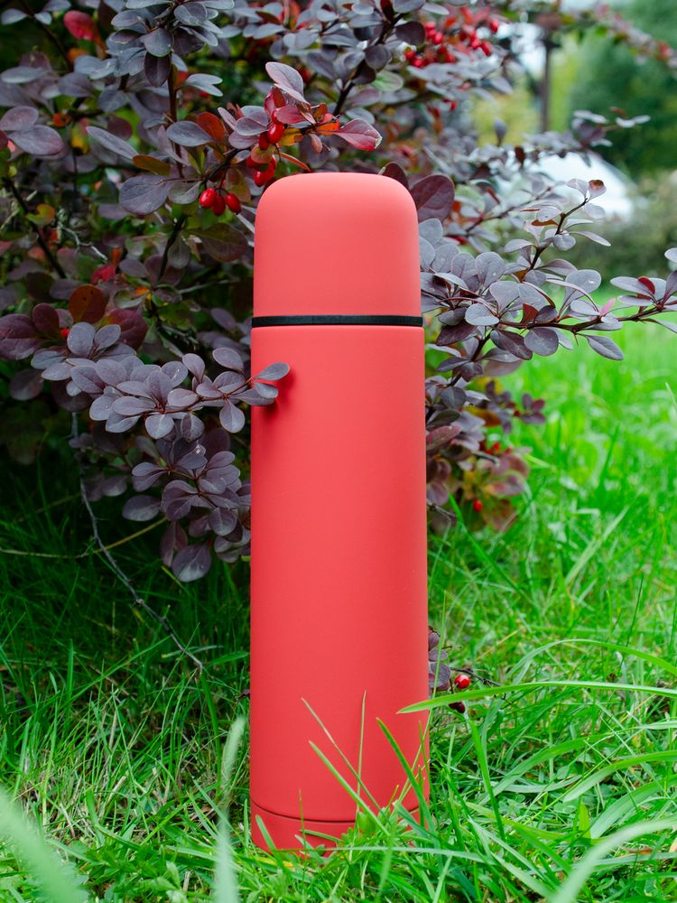 Термос Skydive, красный / Миниатюра WWW (1000)