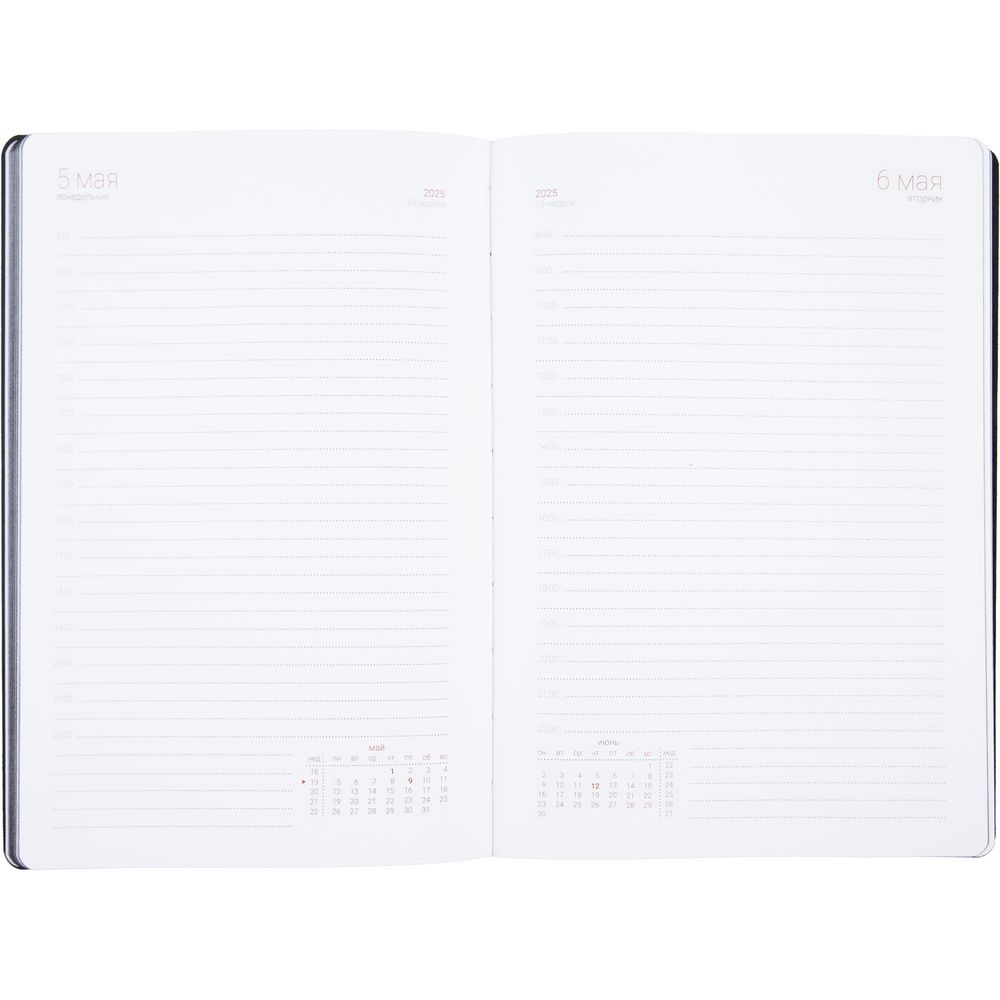 Ежедневник Flexpen Color, датированный, черный / Миниатюра WWW (1000)