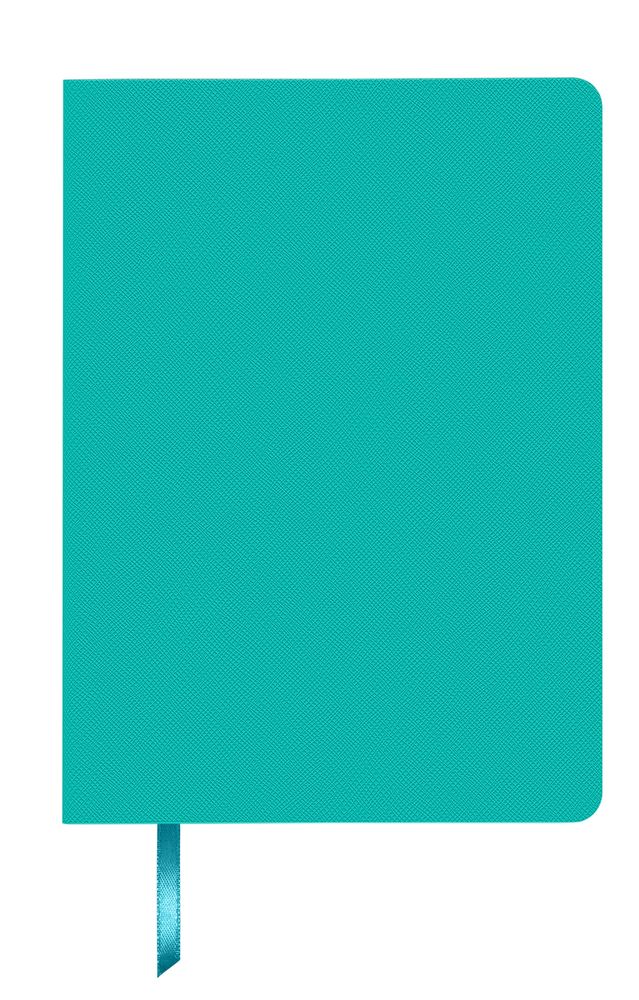 Ежедневник Costar, недатированный, бирюзовый / Миниатюра WWW (1000)