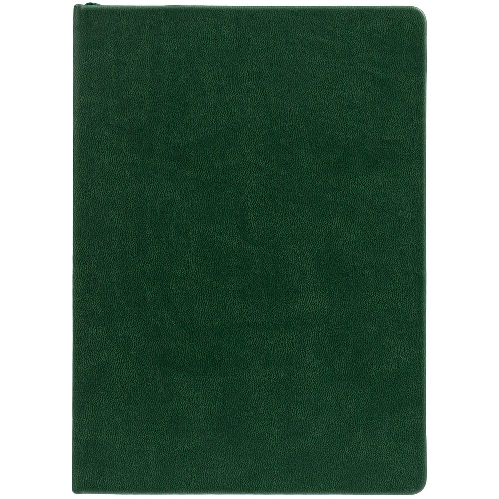 Ежедневник New Latte, недатированный, зеленый / Миниатюра WWW (1000)