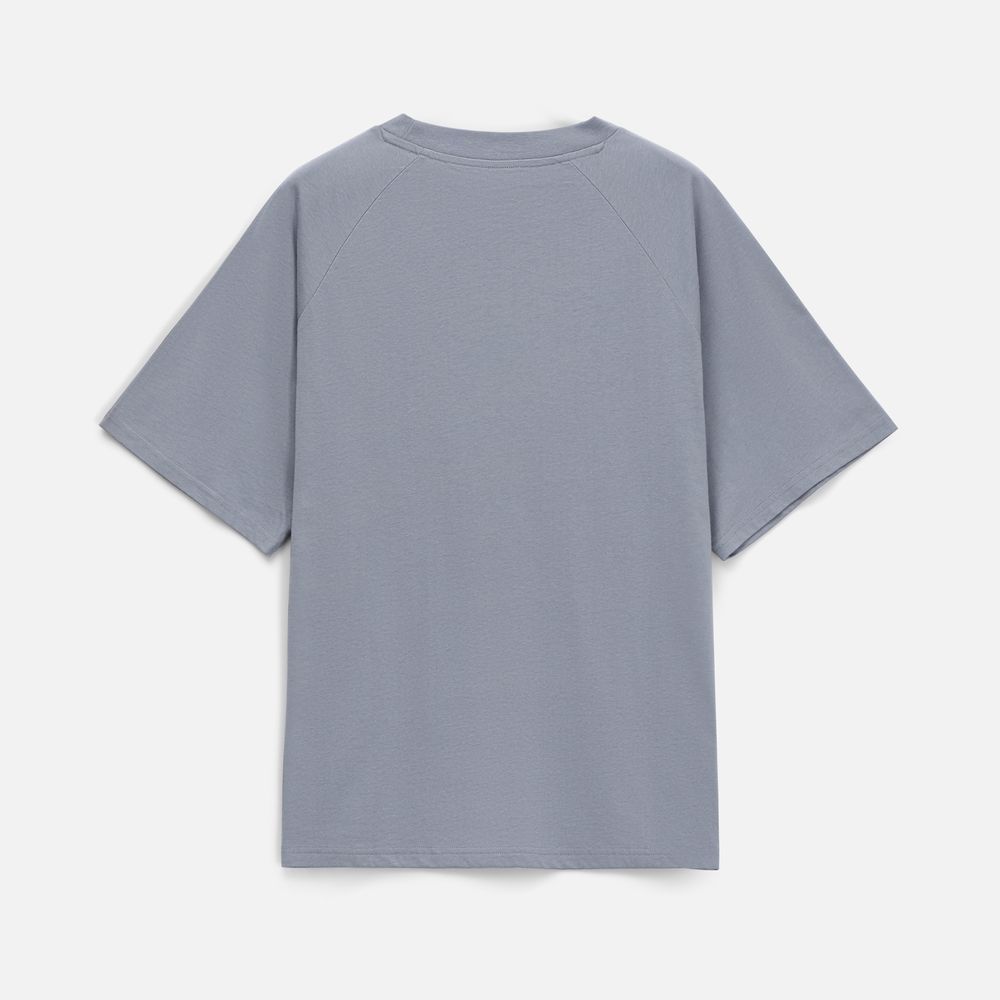 Футболка унисекс T2, серая / Миниатюра WWW (1000)