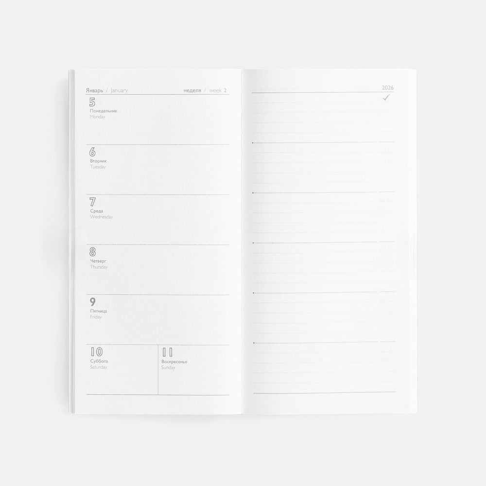 Еженедельник Baza, датированный, серый / Миниатюра WWW (1000)