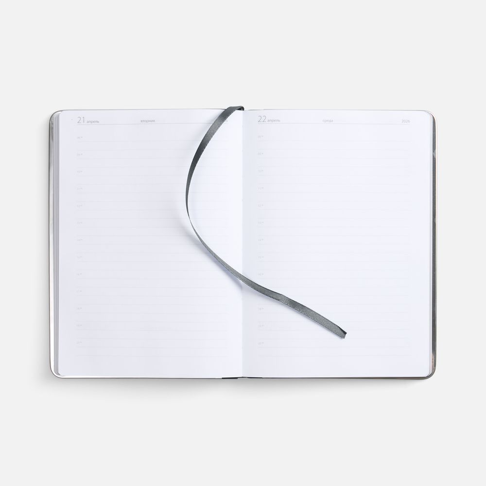 Ежедневник Metal Frame на заказ, датированный, серый / Миниатюра WWW (1000)