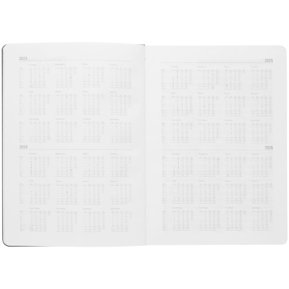 Ежедневник New Factor Metal, серый / Миниатюра WWW (1000)