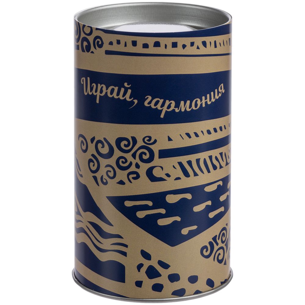 Набор «Играй, гармония», синий / Миниатюра WWW (1000)