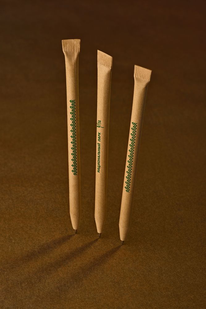 Ручка шариковая Carton / Миниатюра WWW (1000)