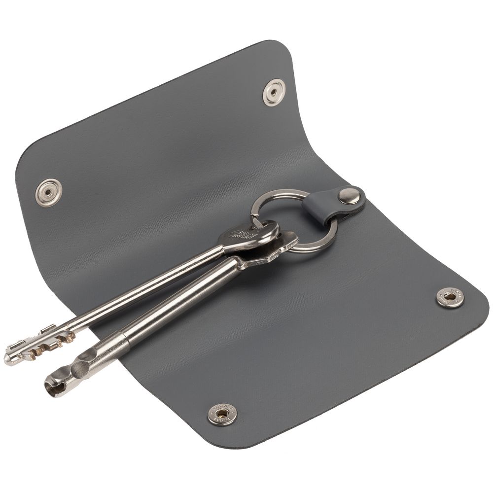 Набор Salamander, серый / Миниатюра WWW (1000)