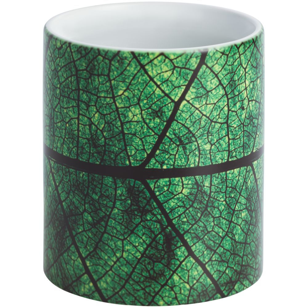 Кружка Evergreen / Миниатюра WWW (1000)