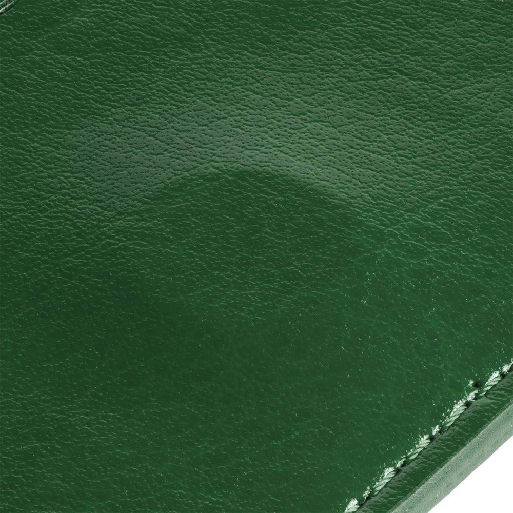 Футляр для визиток Nebraska, зеленый / Миниатюра WWW (1000)