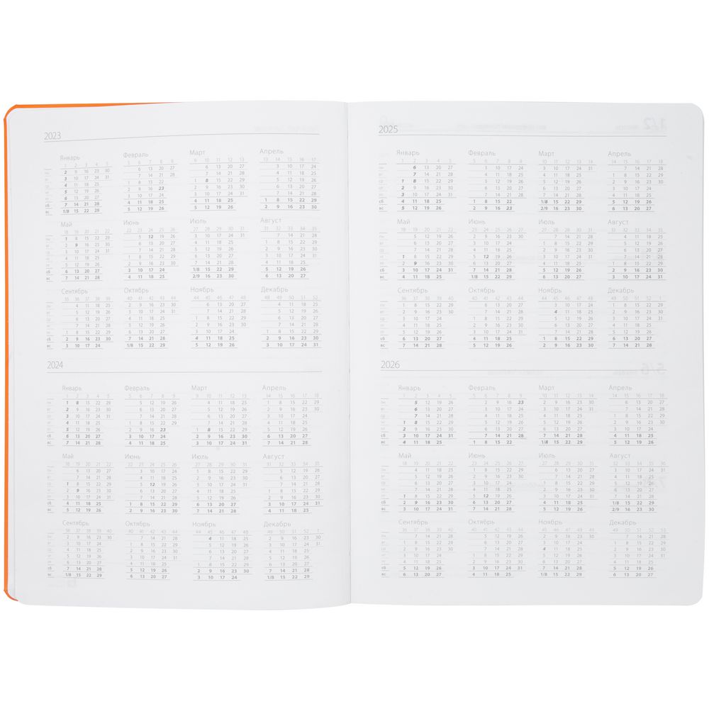 Ежедневник Covert, датированный, оранжевый / Миниатюра WWW (1000)