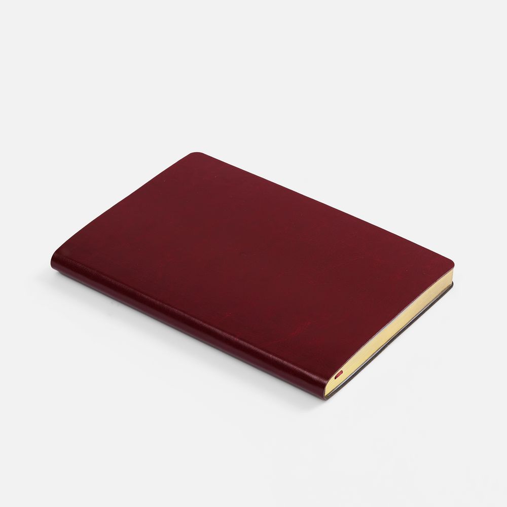 Ежедневник Nebraska Flex, недатированный, бордовый с золотистым / Миниатюра WWW (1000)