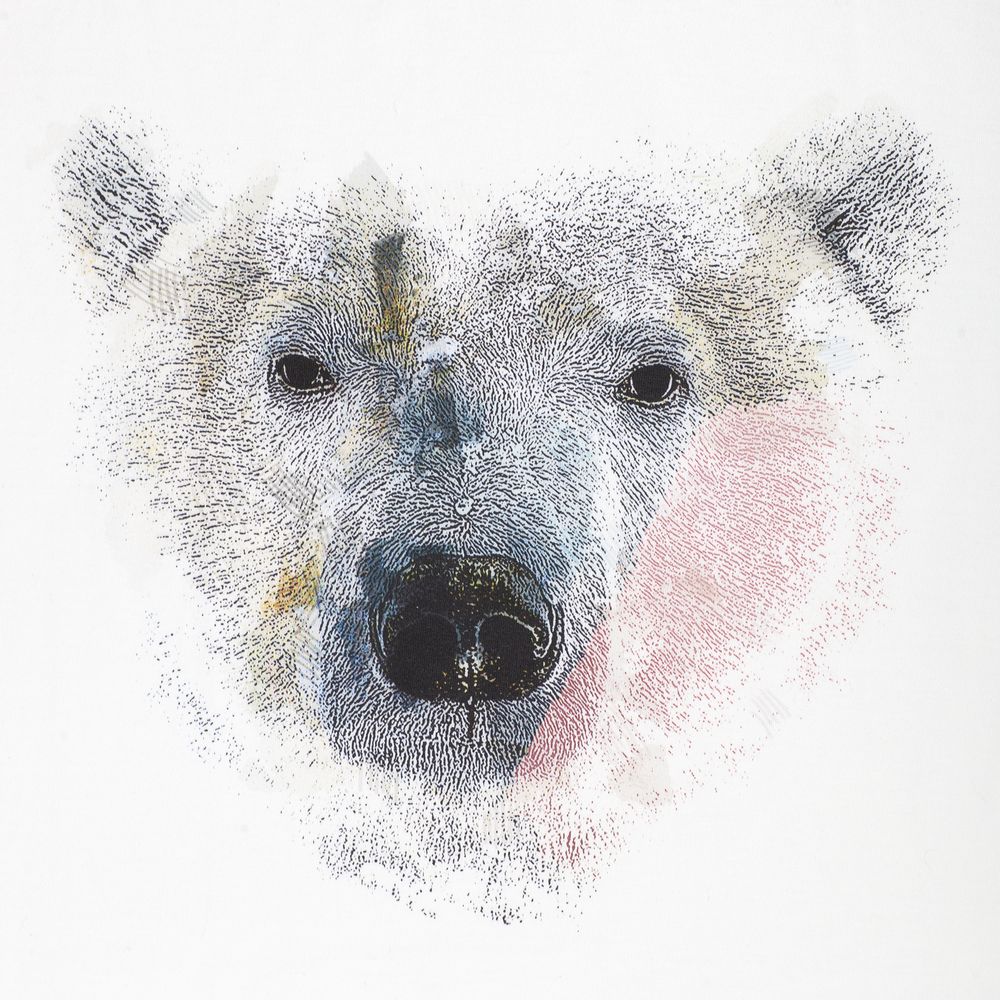 Футболка Polar Bro, белая / Миниатюра WWW (1000)