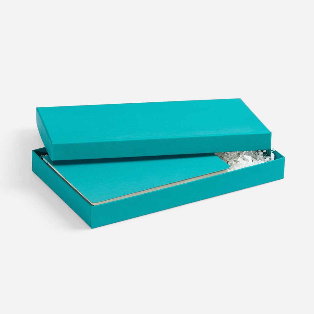 Коробка Horizon, бирюзовая / Миниатюра WWW (1000)