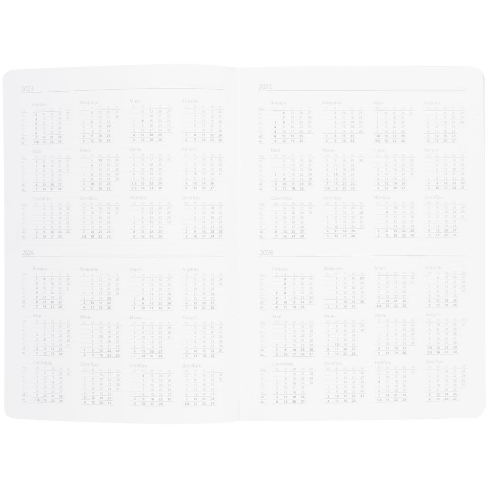 Ежедневник Vale, недатированный, серый / Миниатюра WWW (1000)