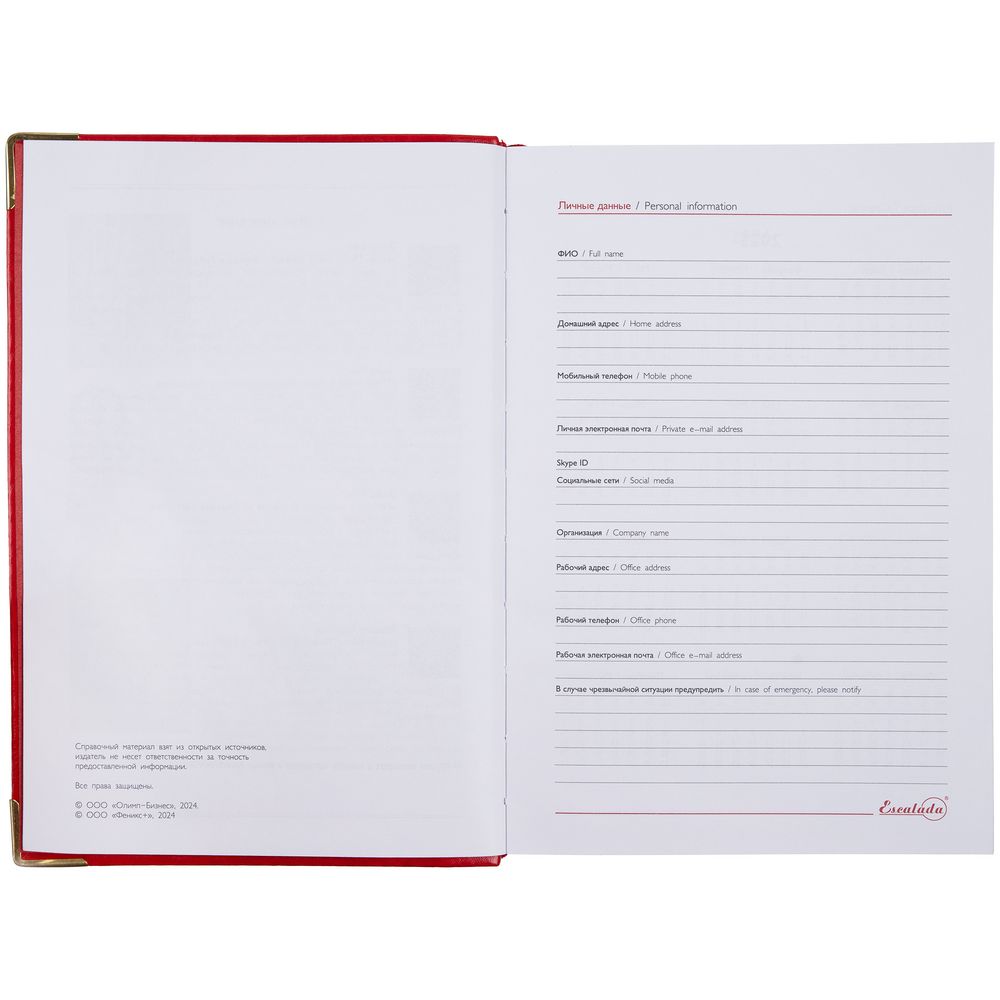 Ежедневник Lugo, датированный, красный / Миниатюра WWW (1000)