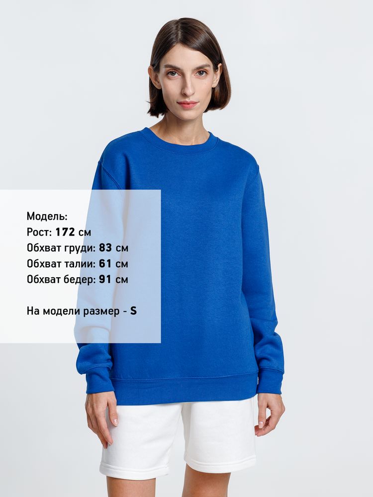 Свитшот унисекс Delta, ярко-синий / Миниатюра WWW (1000)
