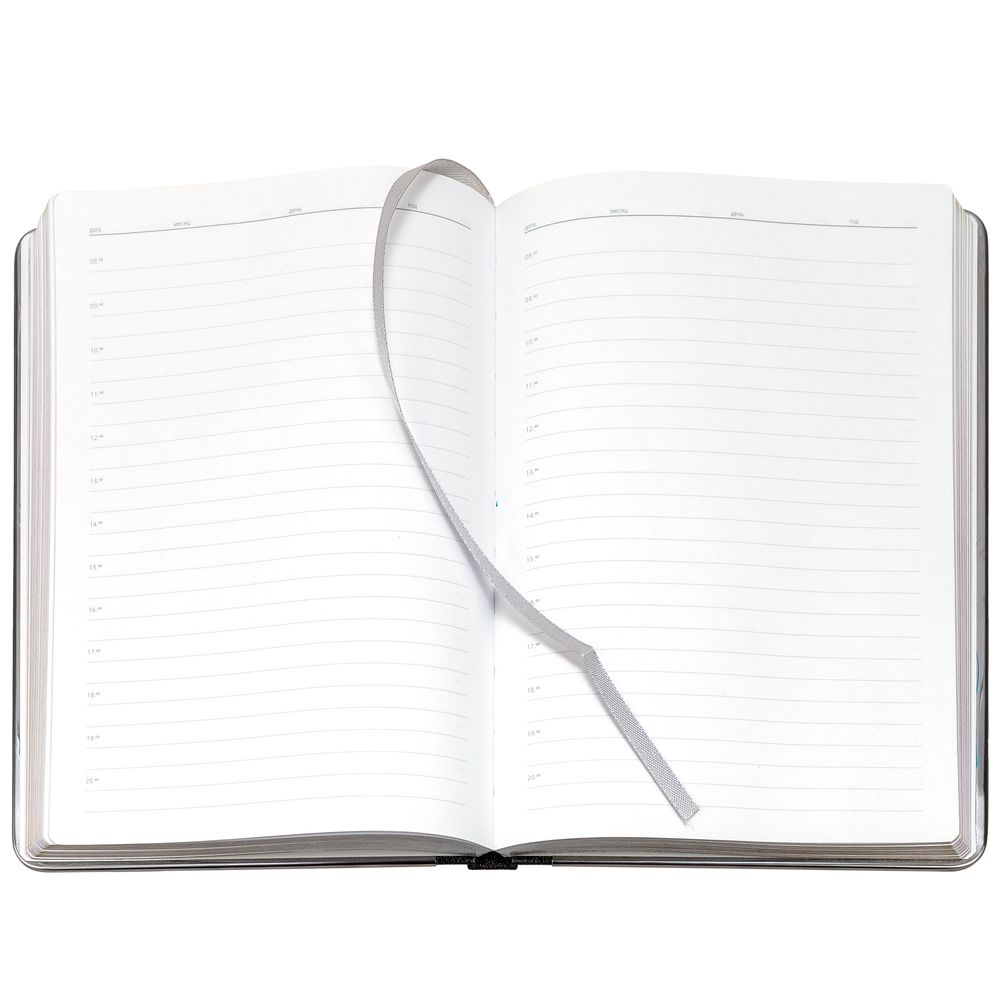 Ежедневник Frame Metal, недатированный, серый / Миниатюра WWW (1000)