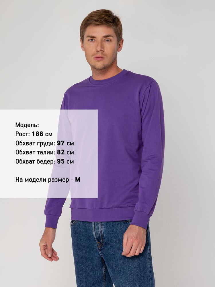Свитшот Toima 2.0, фиолетовый / Миниатюра WWW (1000)