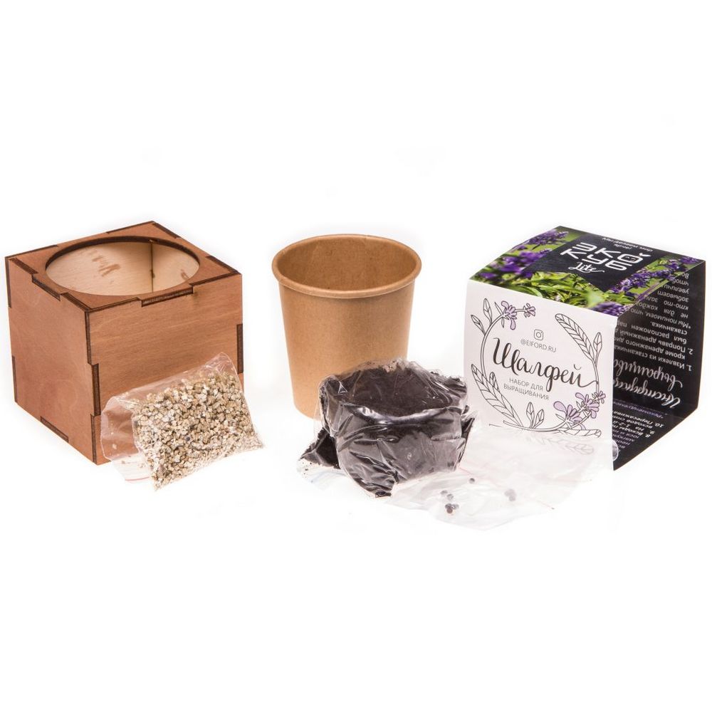 Набор для выращивания «Экокуб Lite», шалфей / Миниатюра WWW (1000)