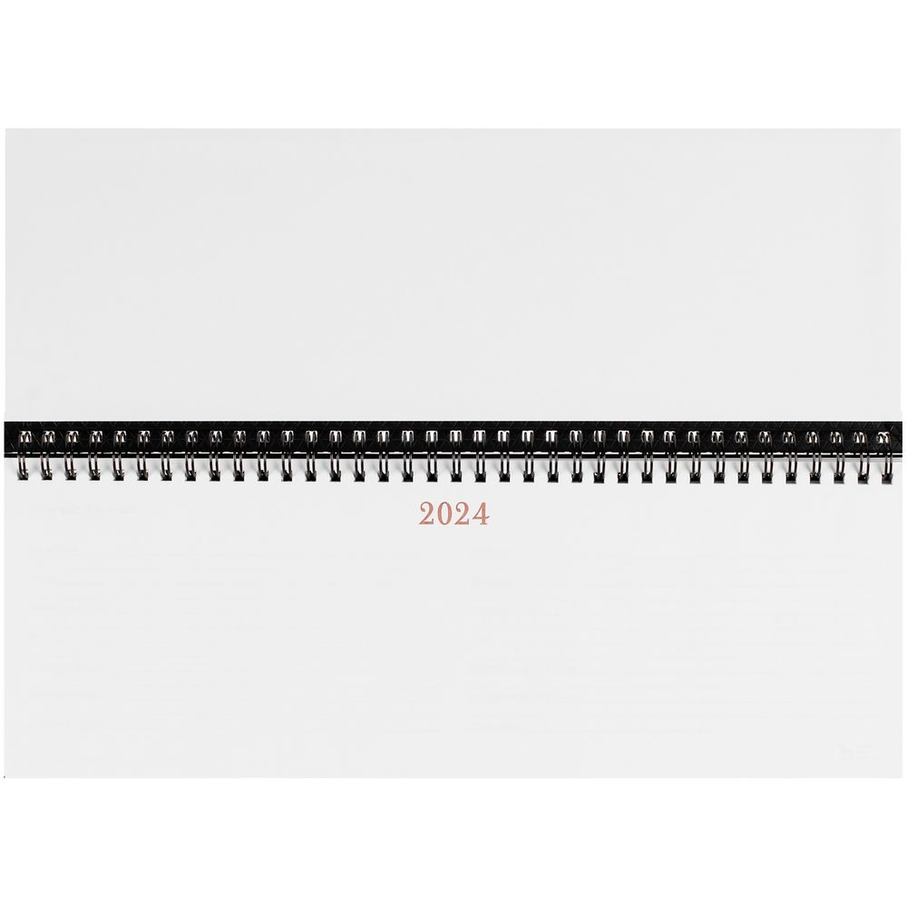 Планинг Brand, датированный, серый / Миниатюра WWW (1000)