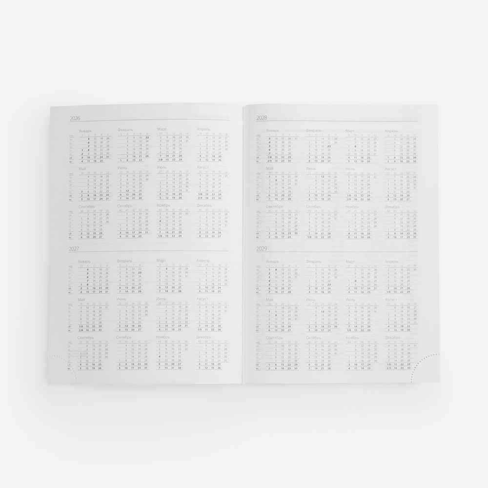 Ежедневник Favor, недатированный, голубой / Миниатюра WWW (1000)