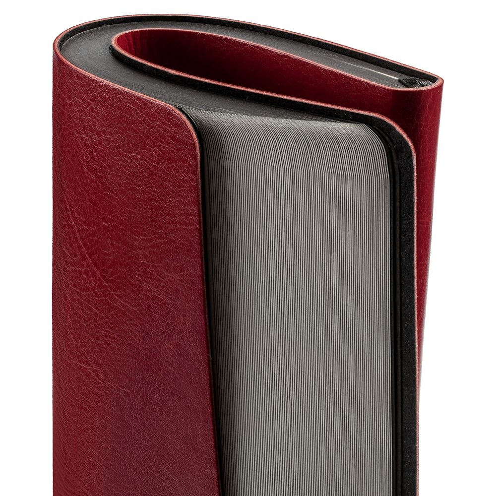 Ежедневник Shine, недатированный, бордовый / Миниатюра WWW (1000)