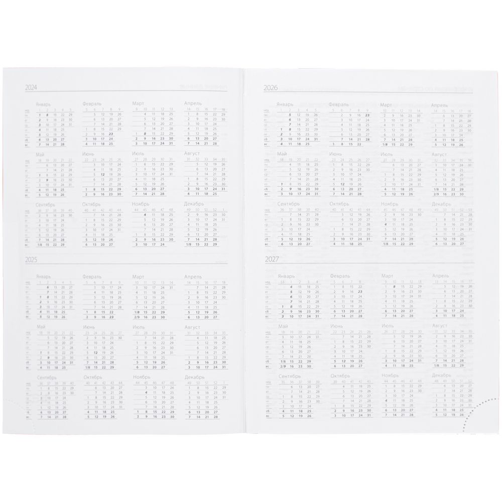 Ежедневник Time, датированный, оранжевый / Миниатюра WWW (1000)