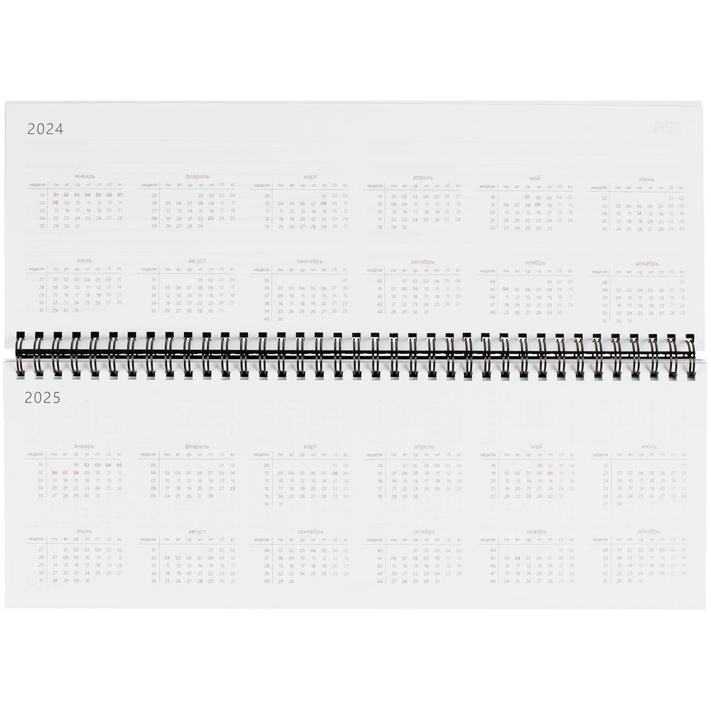 Планинг Brand, датированный, серый / Миниатюра WWW (1000)