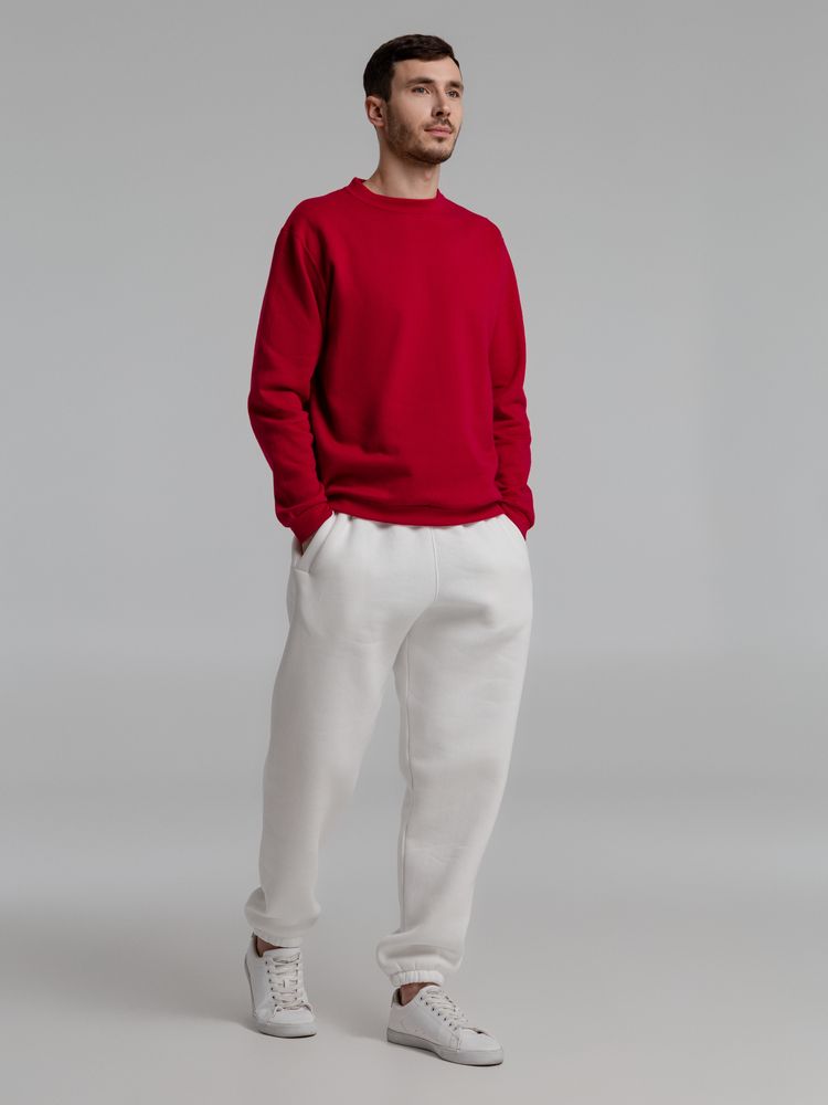 Толстовка Spider 260, красная / Миниатюра WWW (1000)