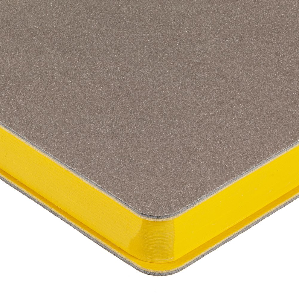 Ежедневник Flexpen, недатированный, серебристо-желтый / Миниатюра WWW (1000)