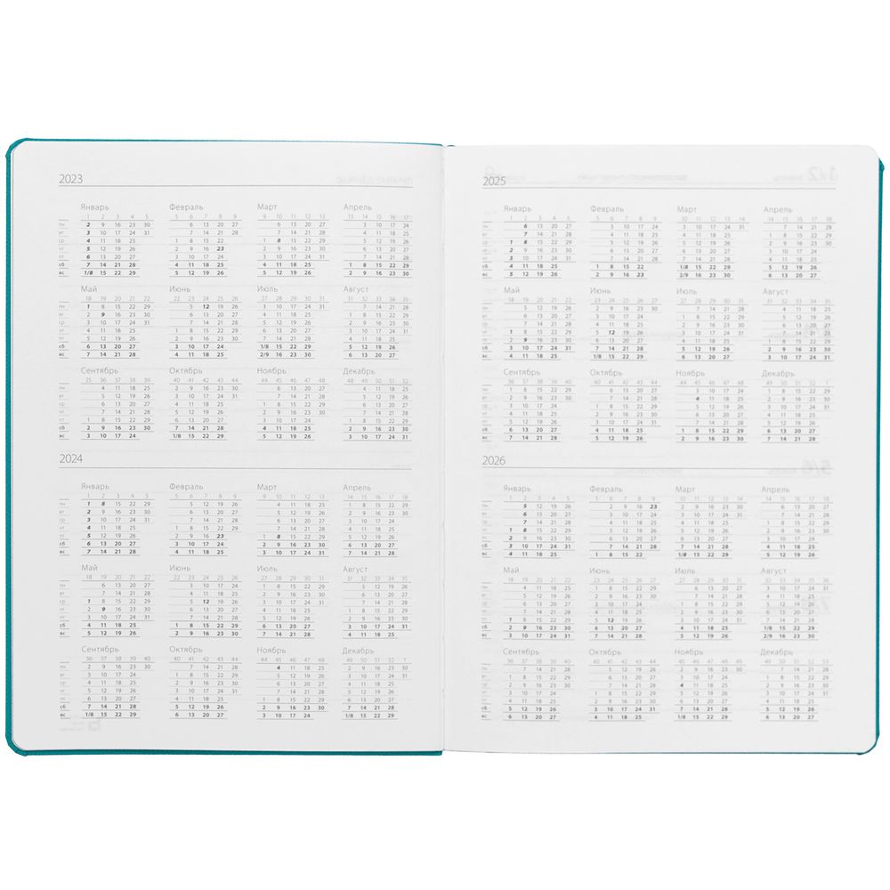 Ежедневник Must, датированный, бирюзовый / Миниатюра WWW (1000)