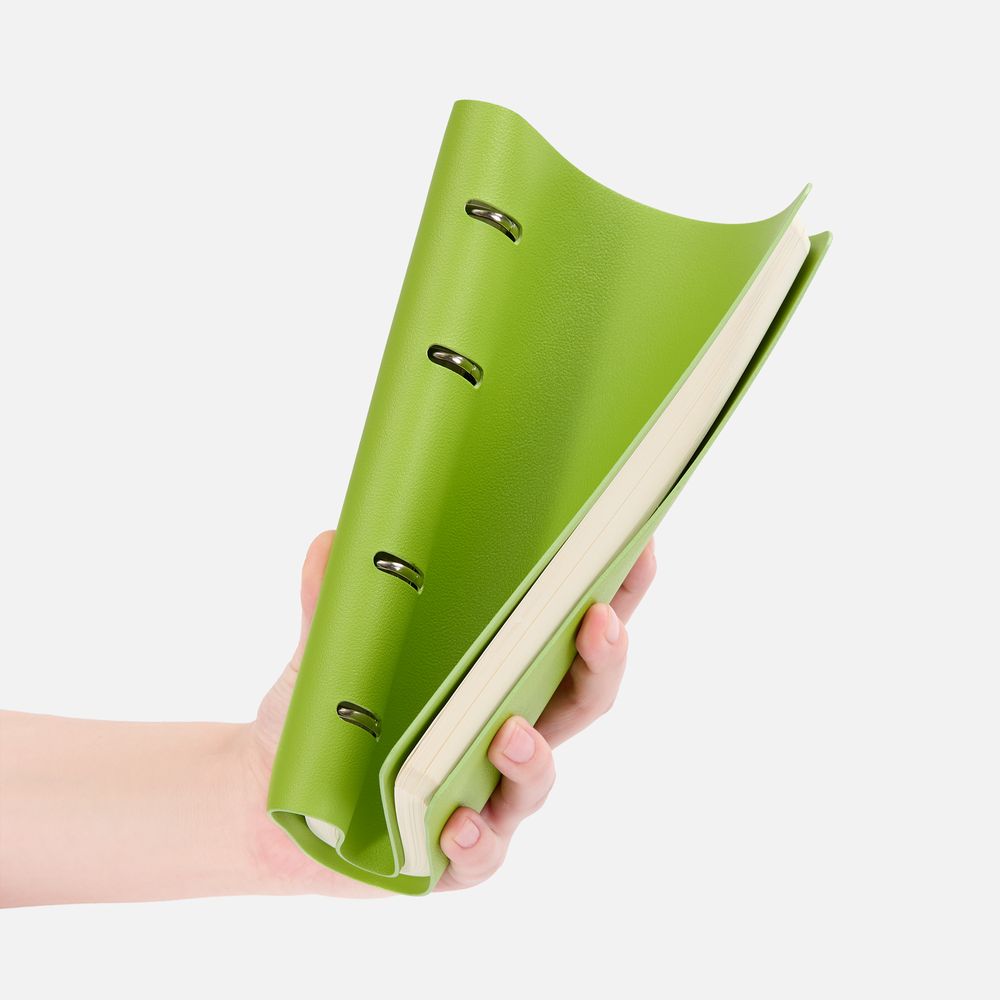 Ежедневник Ringo, недатированный, зеленый / Миниатюра WWW (1000)