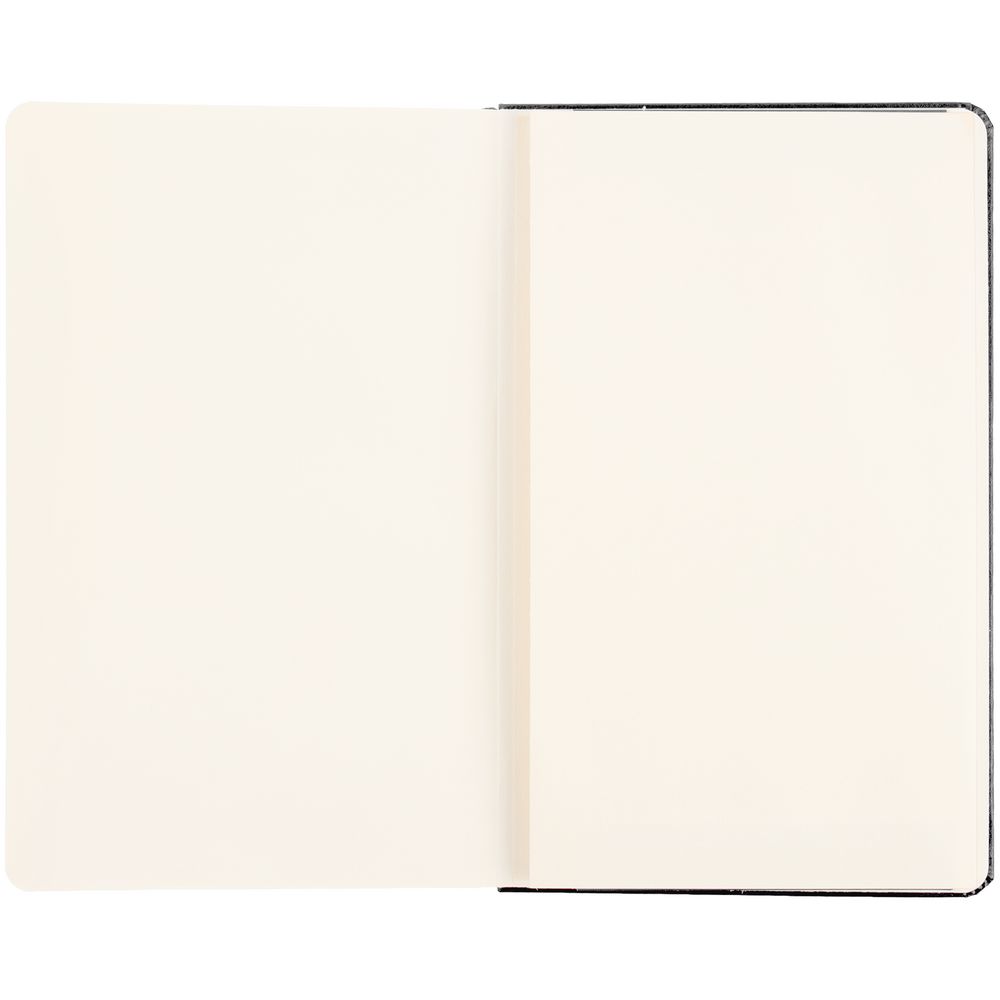 Записная книжка Moleskine Professional Large, черная / Миниатюра WWW (1000)