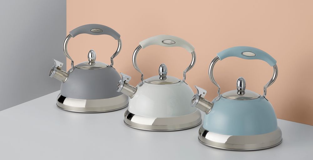 Чайник со свистком Living, голубой / Миниатюра WWW (1000)