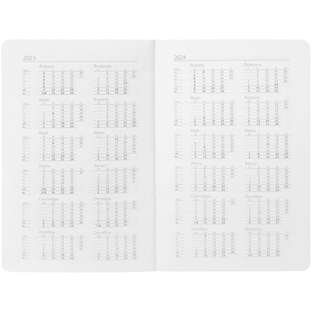 Ежедневник Basis Mini, недатированный, красный / Миниатюра WWW (1000)