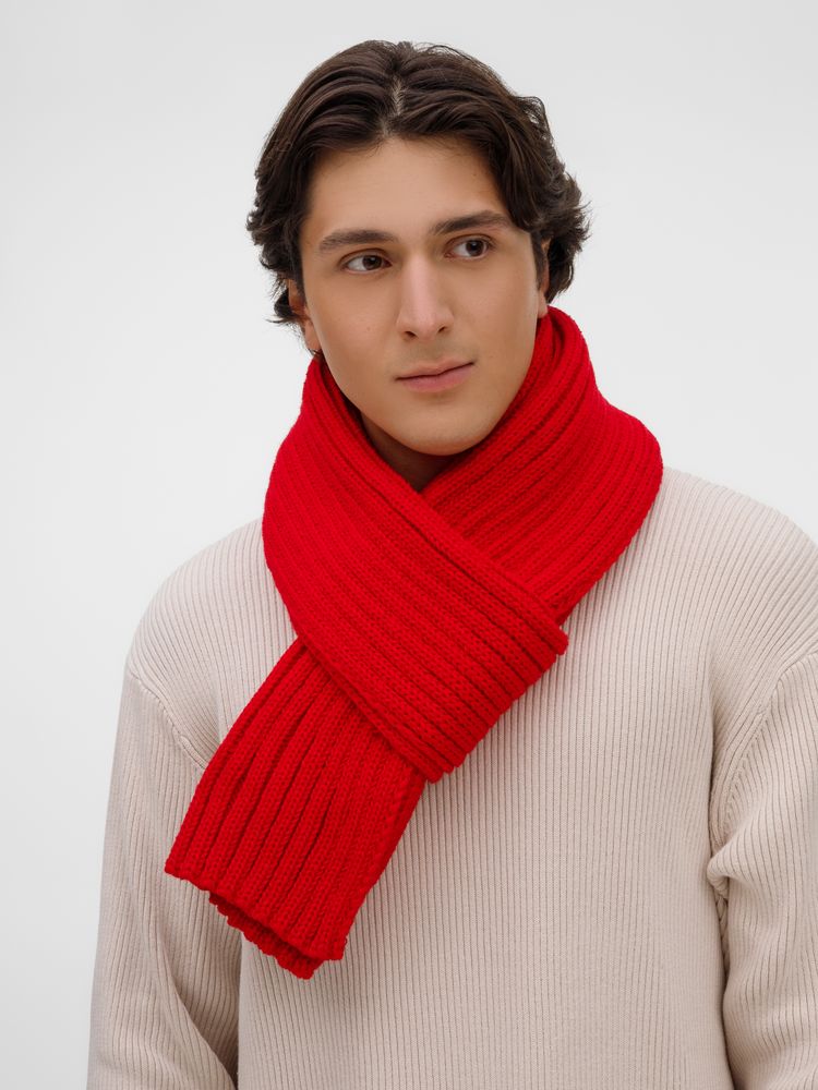 Шарф HappyGo, красный / Миниатюра WWW (1000)