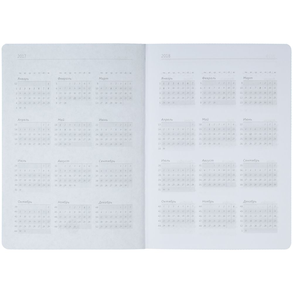 Ежедневник Tone, недатированный, черный с фиолетовым, уценка / Миниатюра WWW (1000)