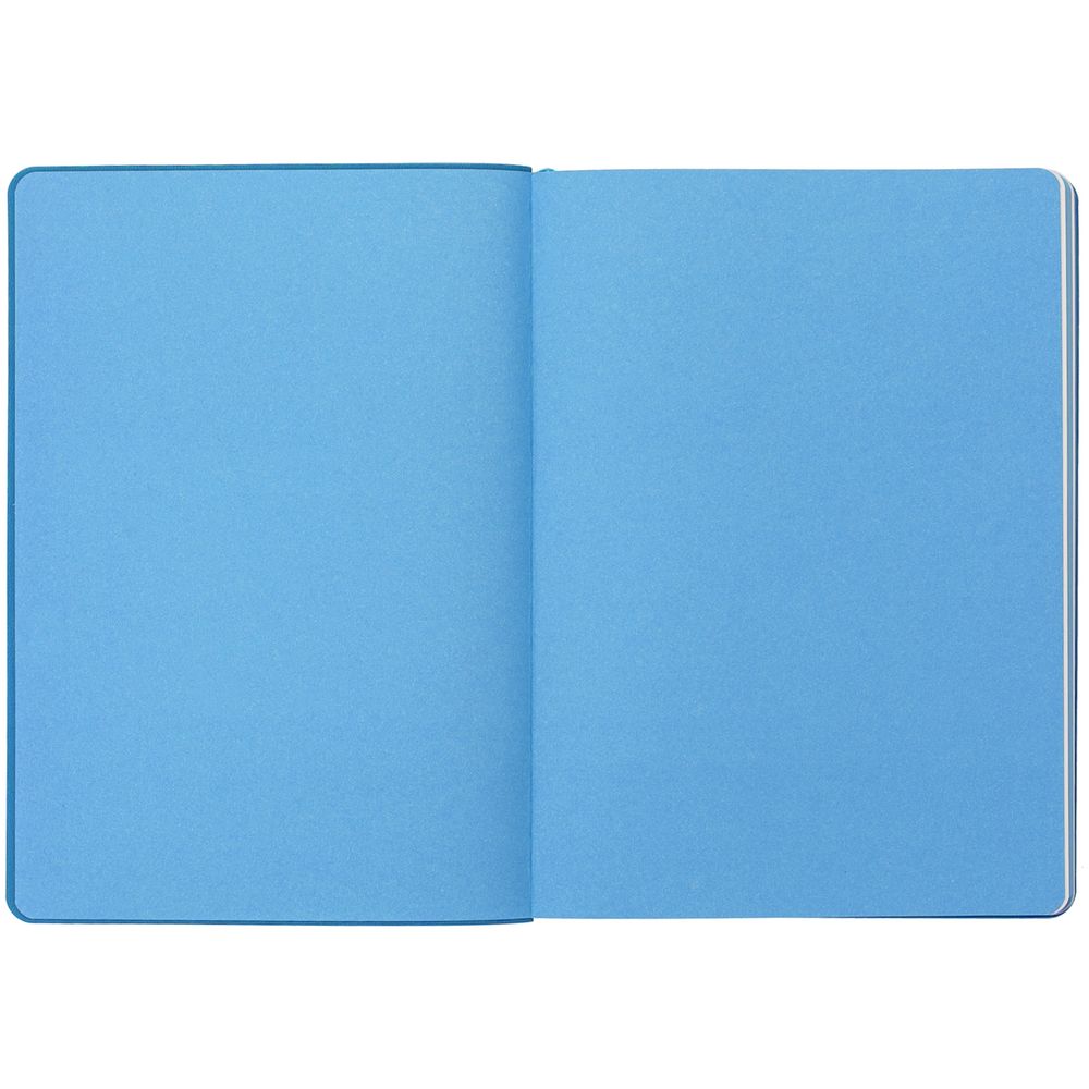 Ежедневник Ridge, недатированный, голубой / Миниатюра WWW (1000)