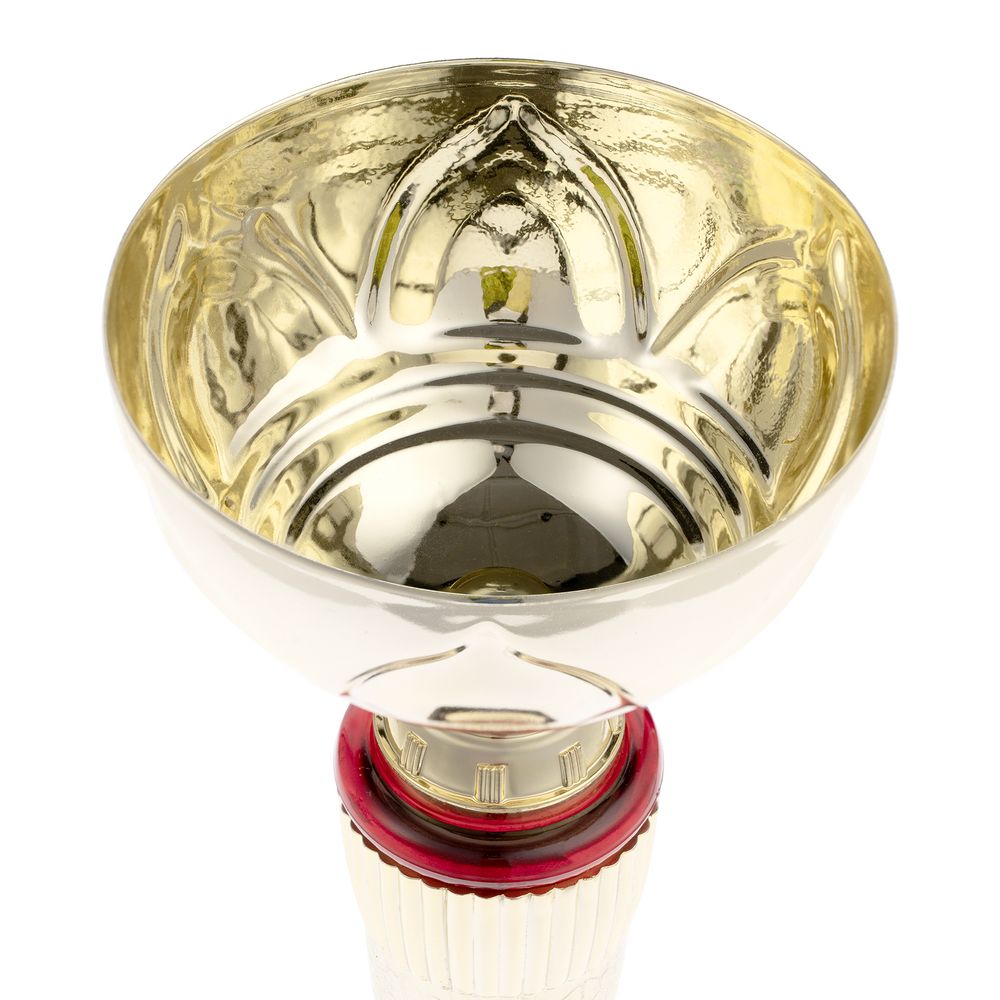 Кубок Awardee, большой, красный / Миниатюра WWW (1000)